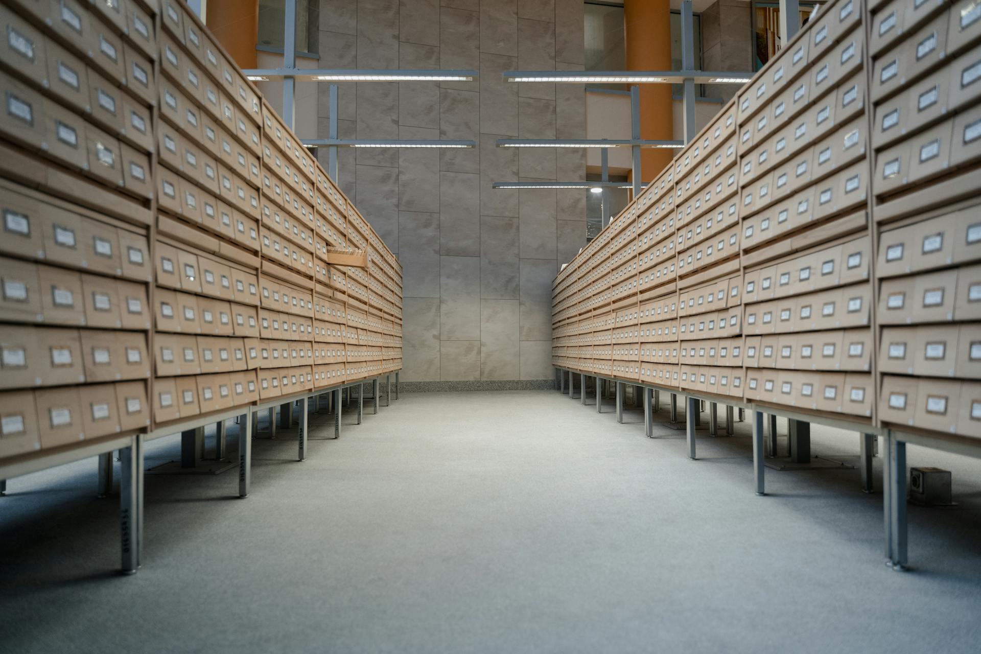 Organized institutional archive, structured collection management